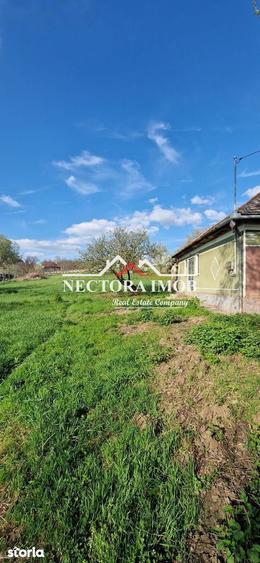 NECTORA IMOB-Casa 70 mp cu teren 951 mp, front 16 mp, Paleu Centru - 4