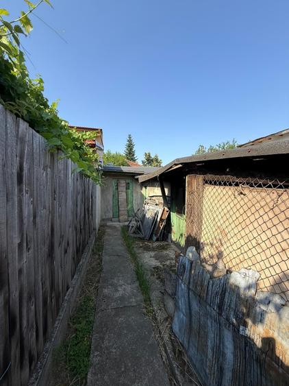 Chitila Colosseum Mall- Parc Maica Teofana - 25