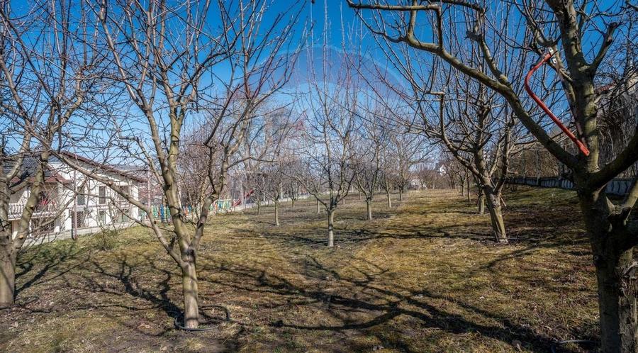 Teren intravilan Gruia, 2,491mp, ideal una-doua case - 6