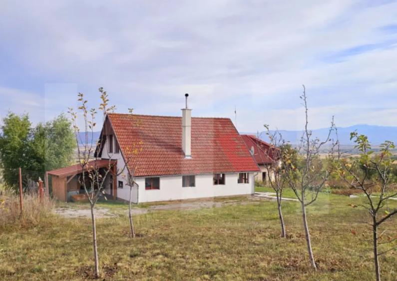 Casa de vanzare, sub padure, intr-un cadru natural deoseb - 14