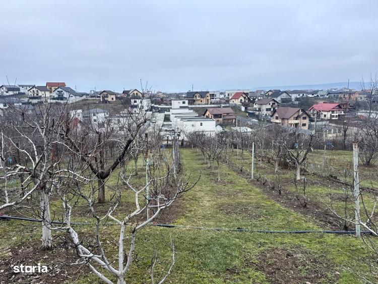 Spatiu, intimitate si verdeata langa Pitesti - Geamana | 2 case, teren - 6