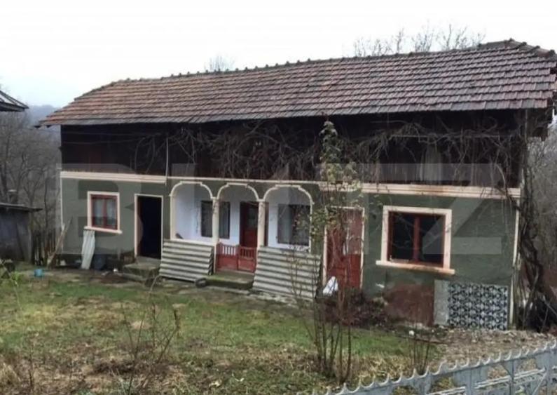 Casa de vacanta din lemn, sat Magura, Bezdead - 3