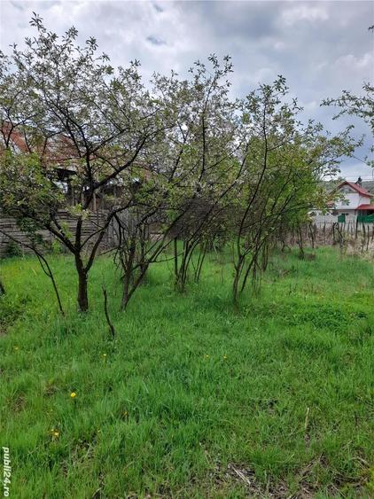 Vand teren intravilan pentru casa, pensiune , etc in suprafa?a de 7500 mp cu front stradal mare . - 3