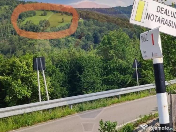 Teren 130000 mp extravilan, faneata si padure, Munteni - ... - 1