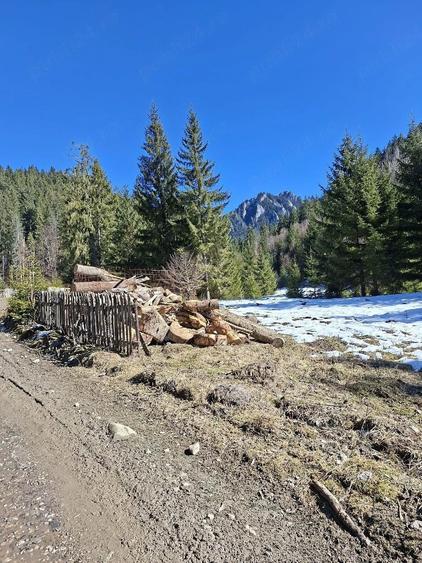 Inchiriez cabana Ceahlau - 3