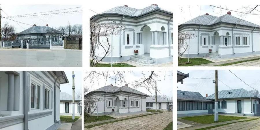 Casa de Vanzare la ?ara, Gospodarie Completa, Dane?i, jude?ul Dolj, 2.454 mp