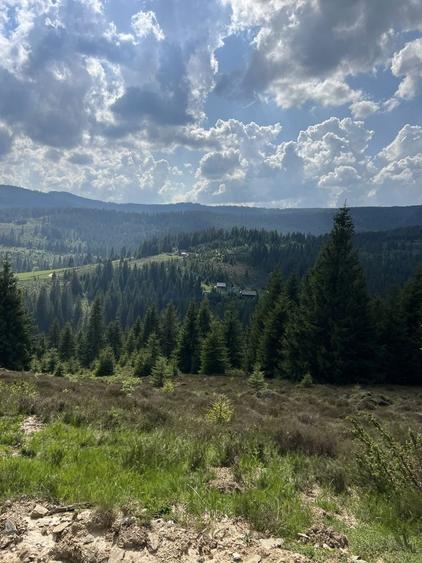 Teren intravilan 5318 mp Poiana Horea-Belis - 8