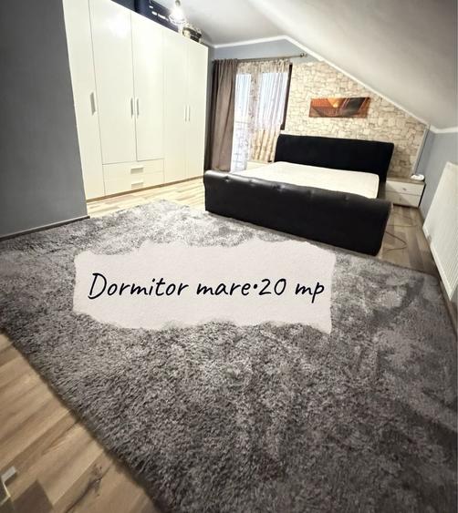 Proprietar, 6 camere, casa individuala+spatiu business | Pompa de caldura - 6