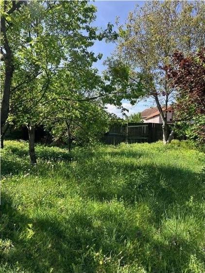 Casa saseasca cu 2.000mp teren, Bod, Brasov - 1