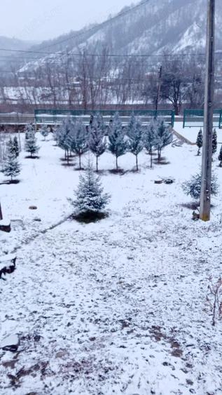 Casa de vacanta schimb - 7