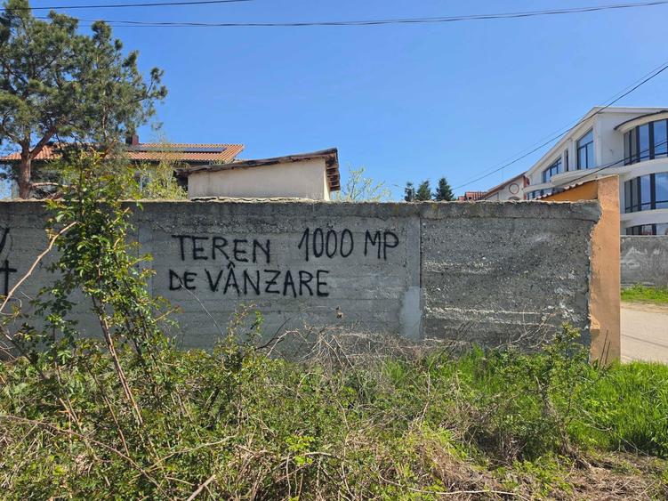 Cernica, langa lac - teren de vanzare, 2 loturi a cate 500 mp - 1