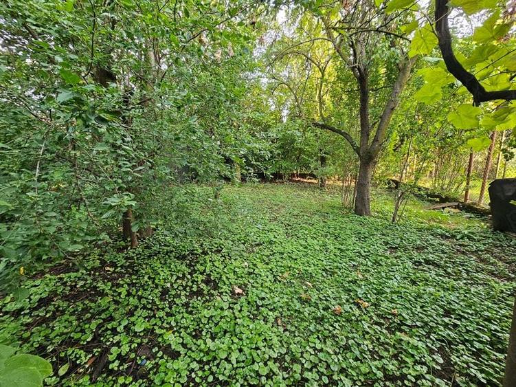 Casa de vanzare pe strada Decebal, Caransebes. 75.000euro - 1