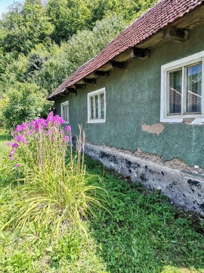 Casa individuala - Moneasa - Jud. Arad - 1