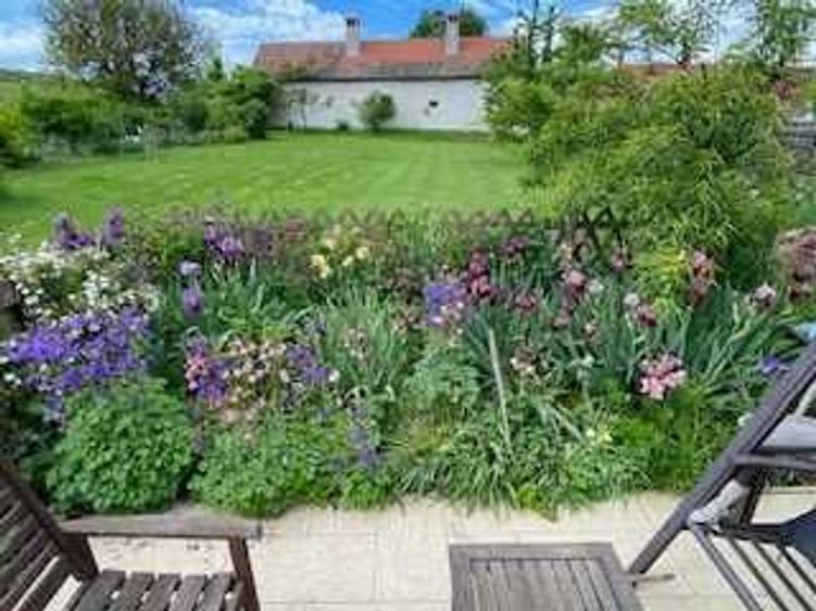 Proprietate de exceptie - 2