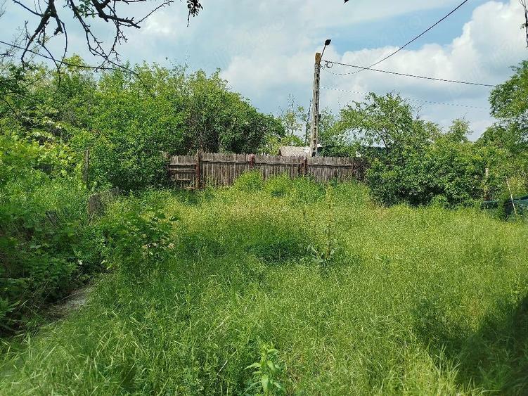 Casa buna si teren Malu Rosu Arma?e?ti jud. Ialomi?a - 1