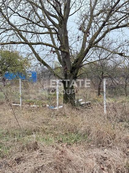 Teren Bucovat, oportunitate de investitie - 1