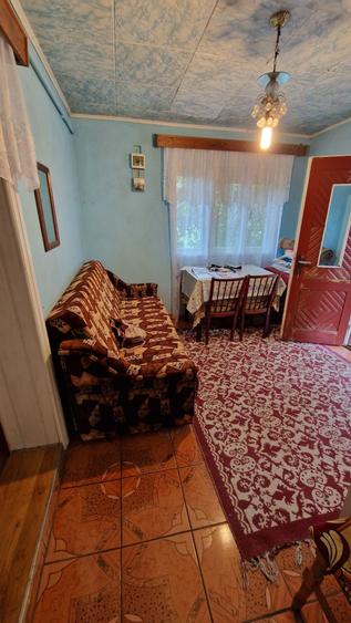 Dau in chirie sau vand casa in Valea Larga, 1000 m.p curte si gradina - 6