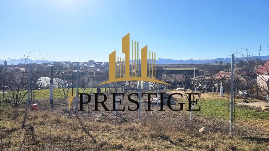 TEREN EXTRAVILAN 873 MP DE VÂNZARE ȘURA MICĂ | POTENȚIAL INTRAVILAN - 7