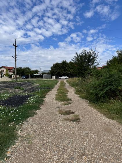 Teren Domnesti | Soseaua Curtea Domneasca | 1060 Mp-intravilan |2 Loturi de 530m - 7