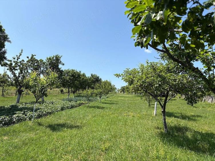 Casa de vanzare, 4 camere, Moldovi?a - 2