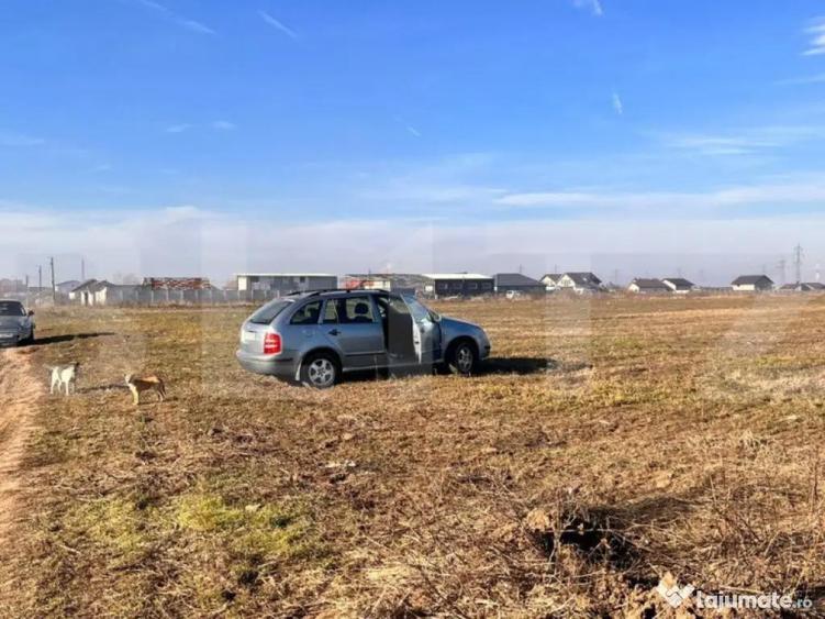 Teren intravilan, 7500 mp, zona Simnicul de sus - 3