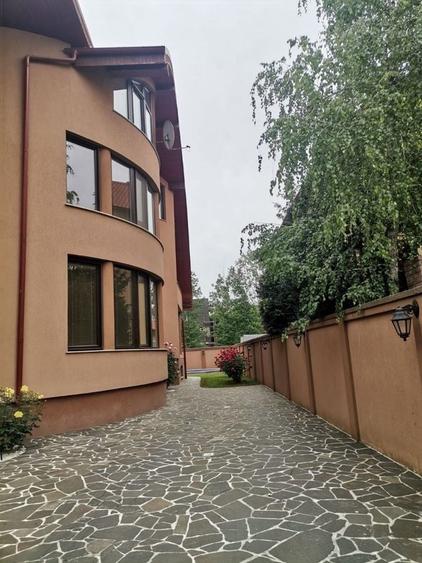 Reședință de Lux  Iancu Nicolae – 600 mp, Piscină și Grădină Matură lângă padure - 3