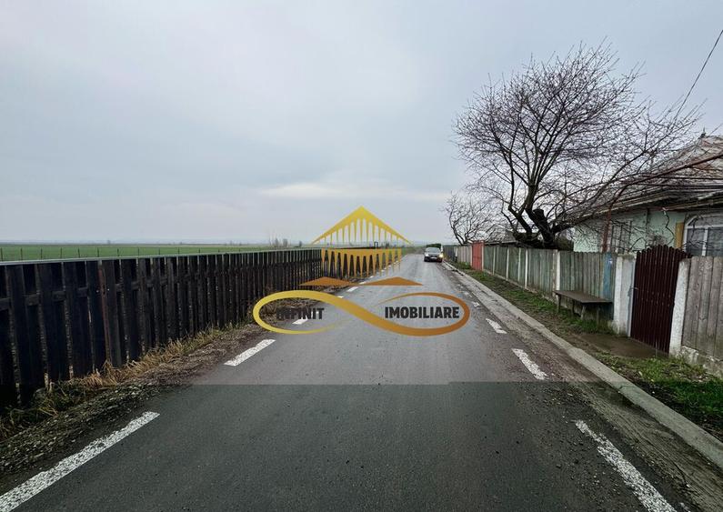 Teren de vanzare Filipesti Bacau 6838 mp - 4