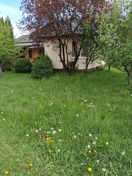 Casa de vanzare - municipiul Toplita, Judet Harghita - 9