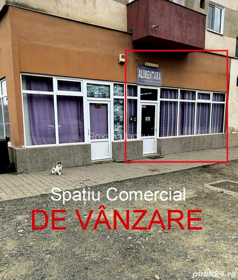 Spa?iu Comercial De Vanzare Spa?iu Comercial De Vanzare
