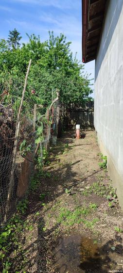 Vand casa in Dascalu, Ilfov, la 10 km de centura Bucuresti si 25 km de km 0 - 5