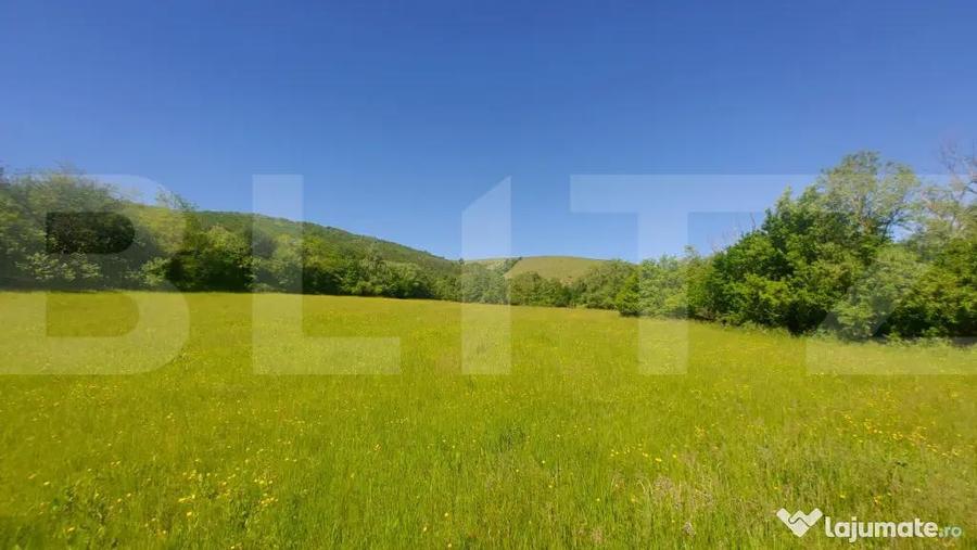 Investi?ie 3,6 ha Glamping, Pensiune sau Centru Ecvestr - 2