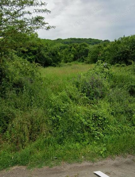 Teren intravilan extravilan in Draga?ani , str Regele Ferdinand - 7