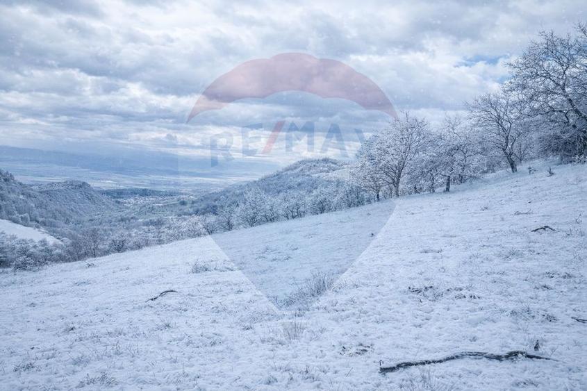 De vânzare două terenuri intravilane în Inuri ,DJ 705C - 1