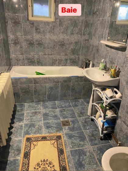 Vand sau schimb, 1439 mp, sat Bodo - 1