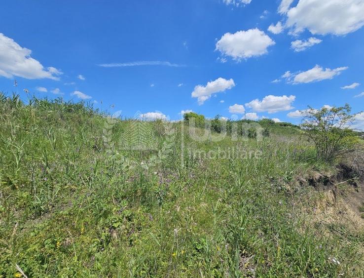 Teren autorizat pentru casa individuala| Front 26m | Iris | Voronet - 8