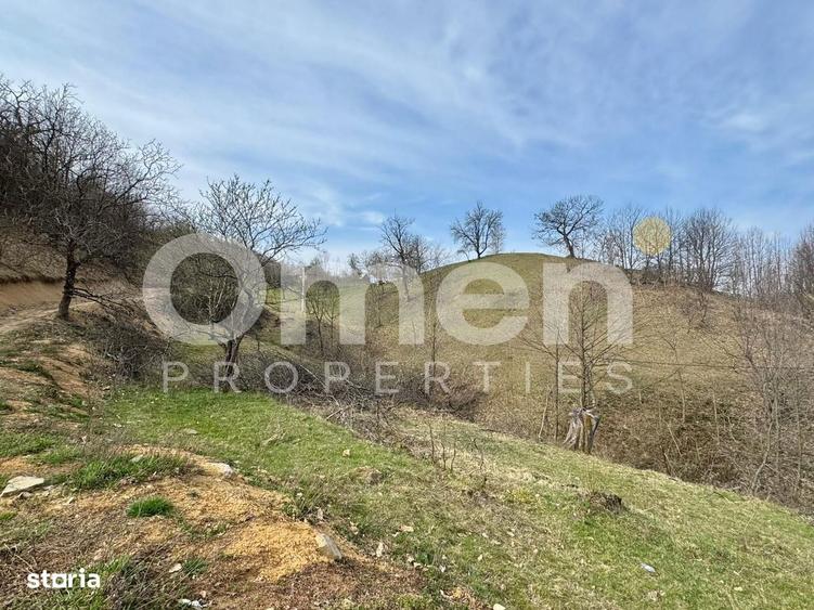 Teren intravialn | 6476 mp | Ulmoasa | zona superba - 3