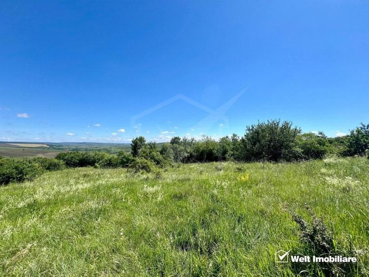 Oportunitate investitie, Chinteni, zona Macicas 31.600 MP - 9