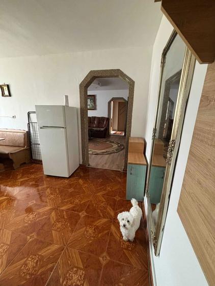 Apartament mobilat si utilat complet proaspat renovat zona Petru Rares - 8