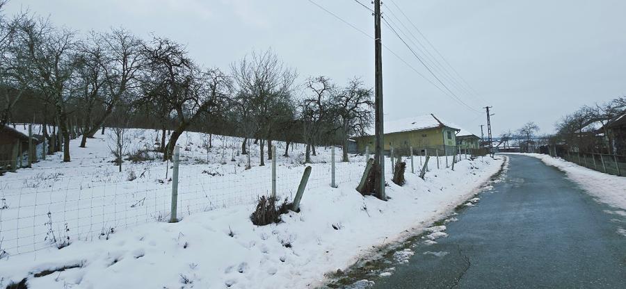 Casa cu Anexe, Gradina + 2Ha Terenuri - 5