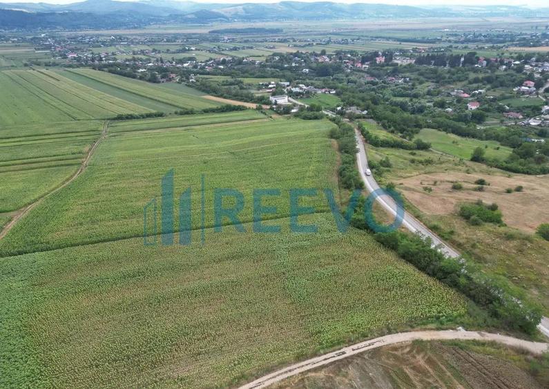 Teren de 3.600 mp Racova - 2