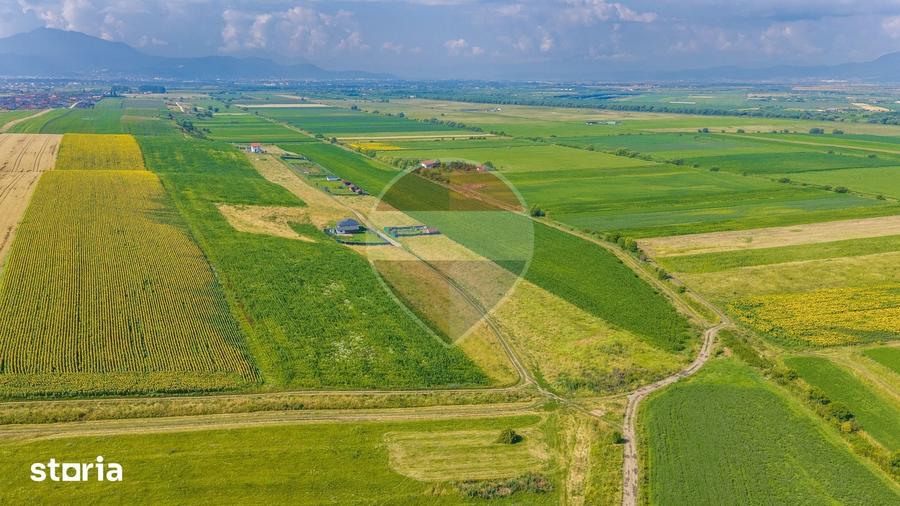 Teren de 606 mp, în Central