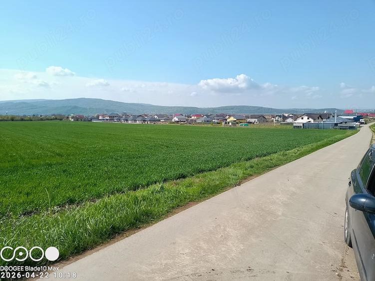 Teren de 5000 mp, în Dancu