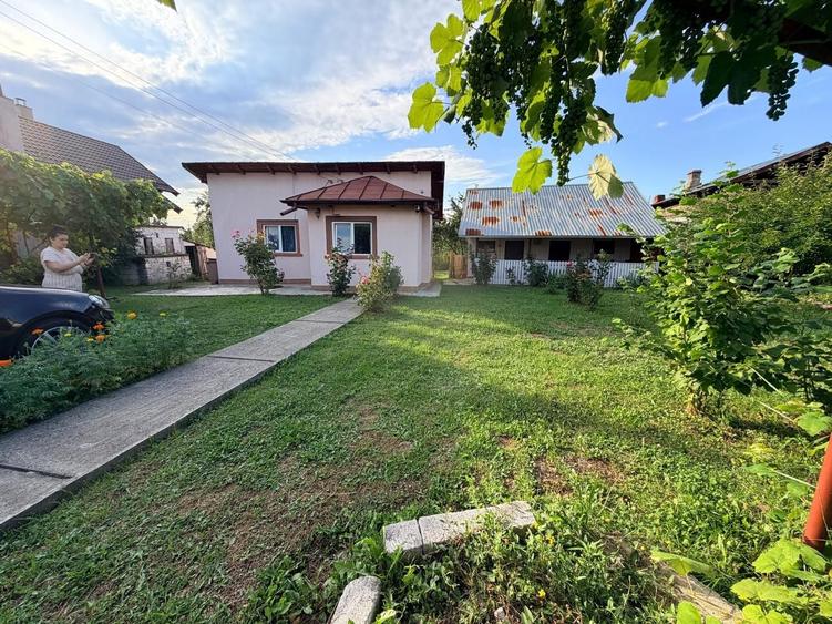 Casă cu 2 camere în Slătioarele