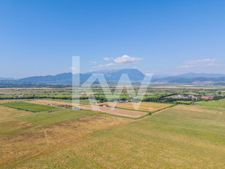 Teren agricol intravilan de 1000 mp, în Glăjărie