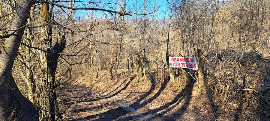 Teren agricol intravilan de 2142 mp, în Podul Lung