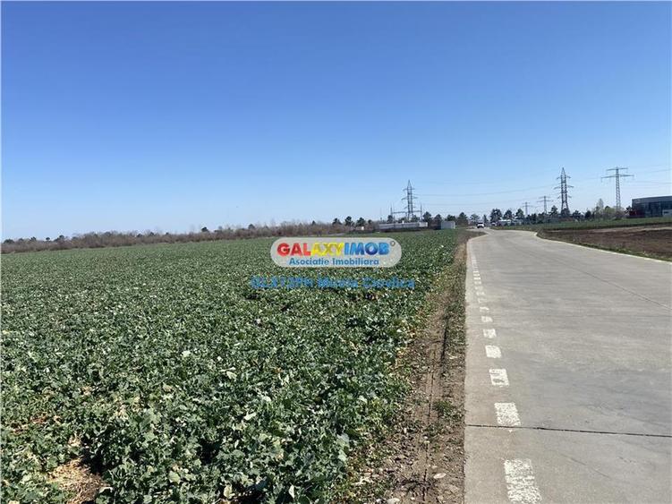 Teren Construcții intravilan de 98000 mp, în Păulești
