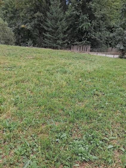 Teren de 10000 mp, în Sadova