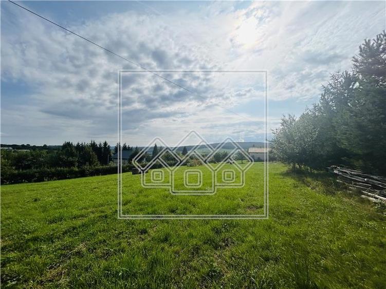 Casa de vanzare in Sibiu - teren mare de 900 mp - zona linistita - 30