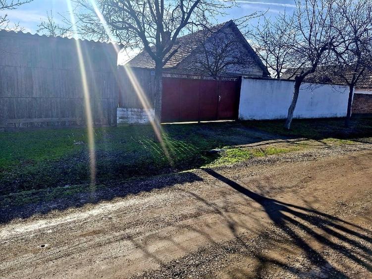 Casa de vânzare în Pecica - 2