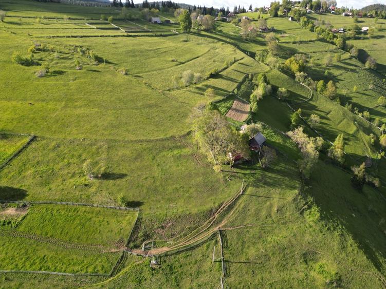 Teren de vanzare, Muntele Bocului Baisoara ,teren1000 mp - 22